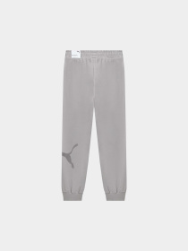 Штаны спортивные PUMA Ess Big Cat Logo Sweatpants модель 692711 Фото