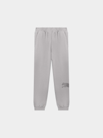Штаны спортивные PUMA Ess Big Cat Logo Sweatpants модель 692711 Фото