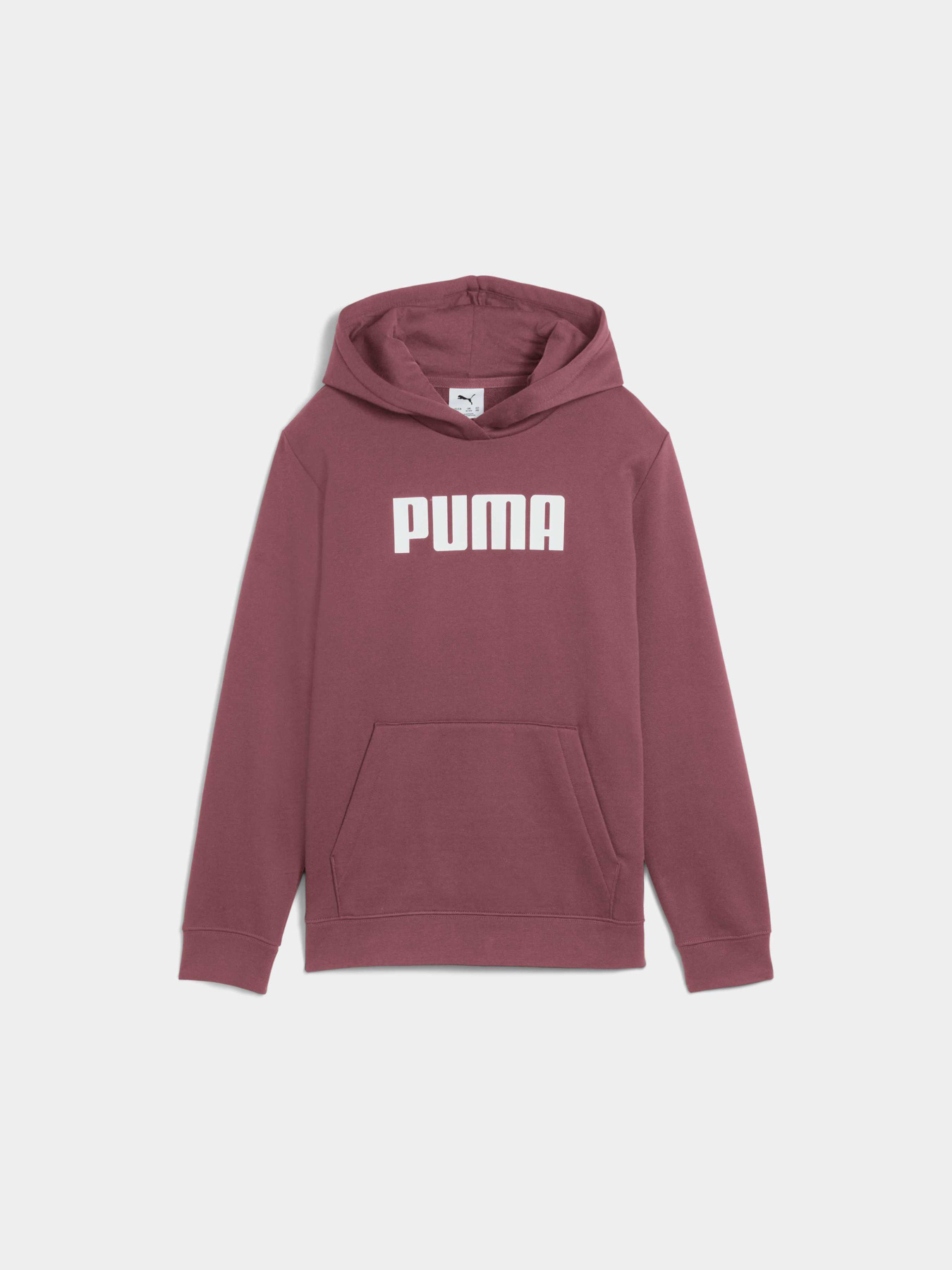 Худі PUMA Ess Logo Hoodie Fl G модель 688353 Фото