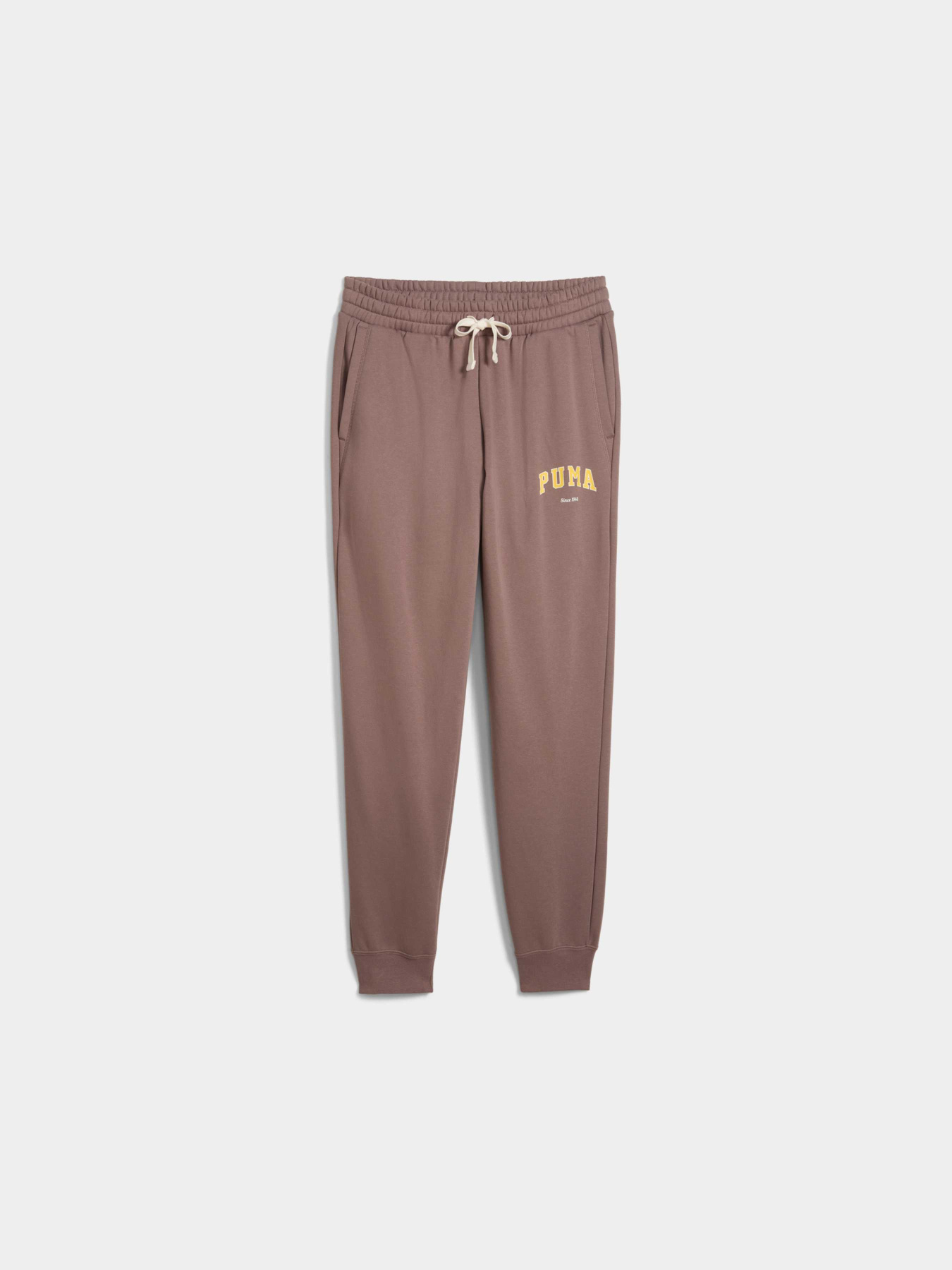 Штаны спортивные PUMA Varsity Sweatpants Fl M модель 692653 Фото