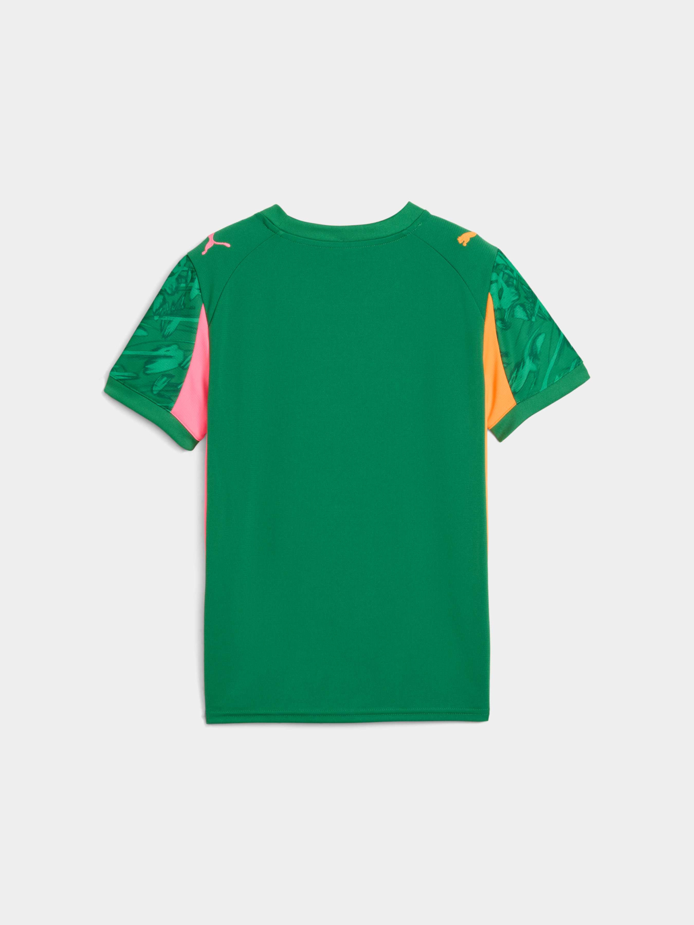 Спортивная футболка PUMA Gk Concept Jersey Repl Ss Jr модель 780271 Спортивная футболка PUMA Gk Concept Jersey Repl Ss Jr модель 780271 Фото