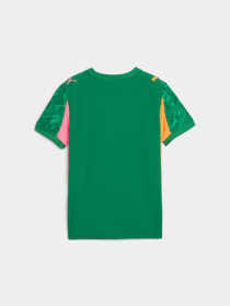 Спортивная футболка PUMA Gk Concept Jersey Repl Ss Jr модель 780271 Спортивная футболка PUMA Gk Concept Jersey Repl Ss Jr модель 780271 Фото