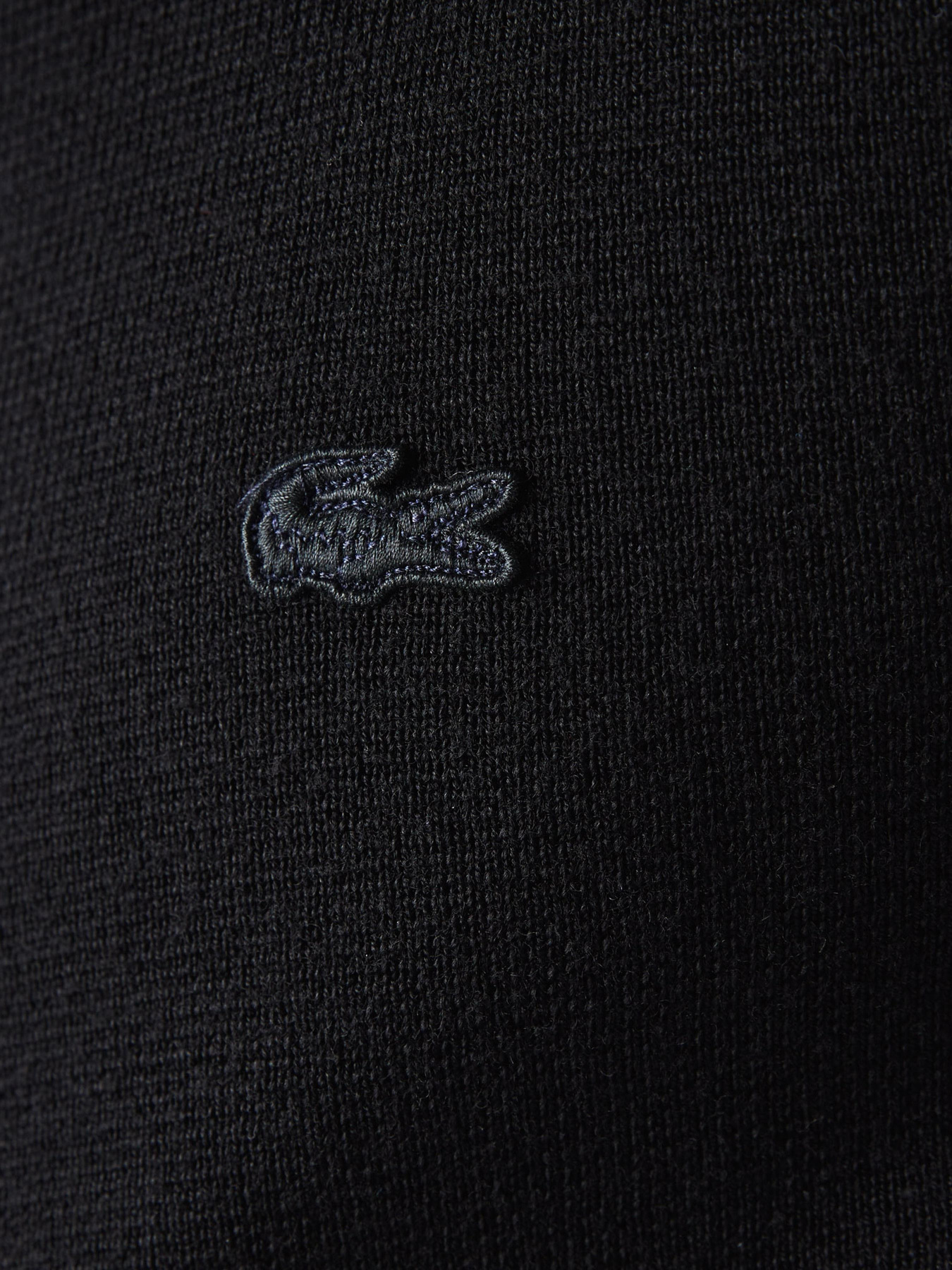 Кофта Lacoste модель AH1955031 Фото