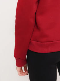 Свитшот модель SWF181NV46CTPO Фото