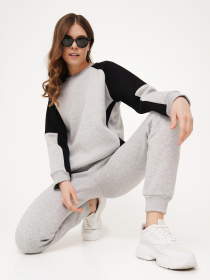 Свитшот модель SWF171NV43CTPO Фото