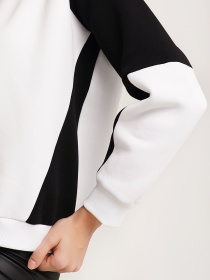 Свитшот модель SWF173NV43CTPO Фото