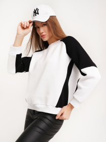 Свитшот модель SWF173NV43CTPO Фото