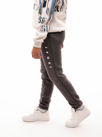 Штаны спортивные STREAM модель 696492 Фото