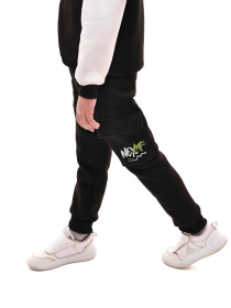 Спортивні штани ФІОНА модель 693863 Спортивні штани ФІОНА модель 693863 Фото