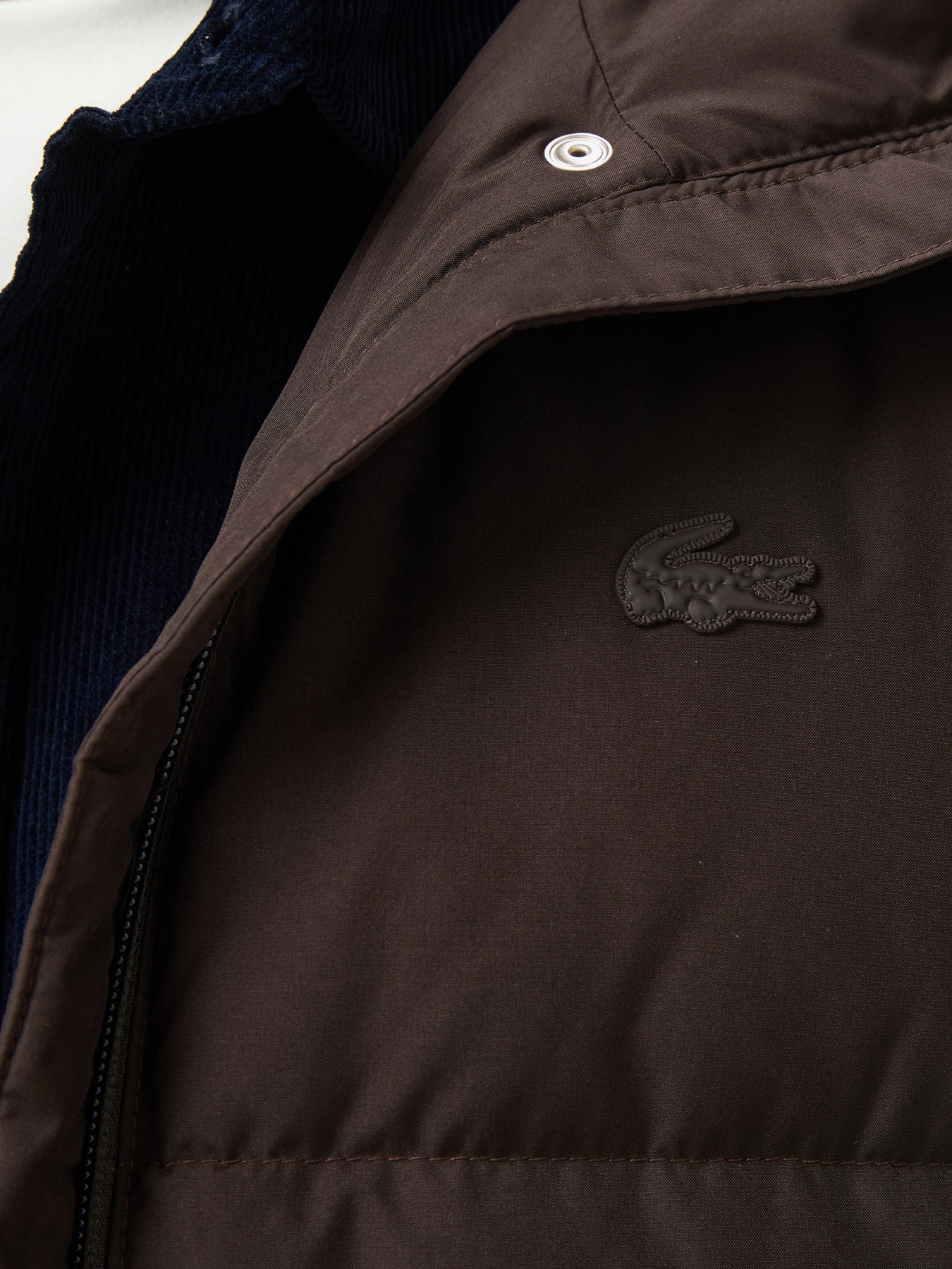 Демисезонная куртка Lacoste модель BF2608SKB Фото