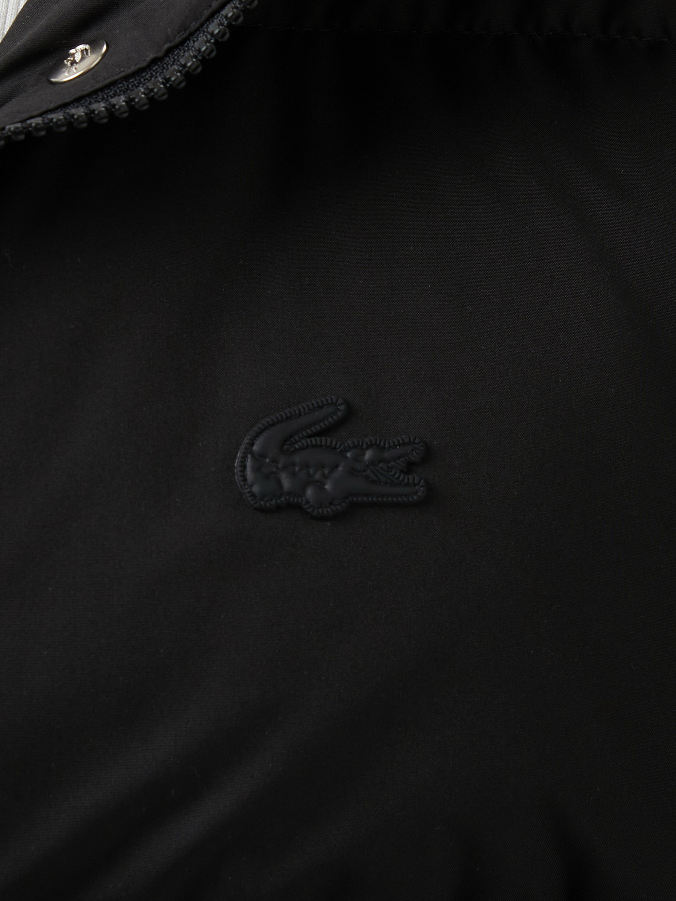 Пуховик Lacoste модель BF2614031 Фото