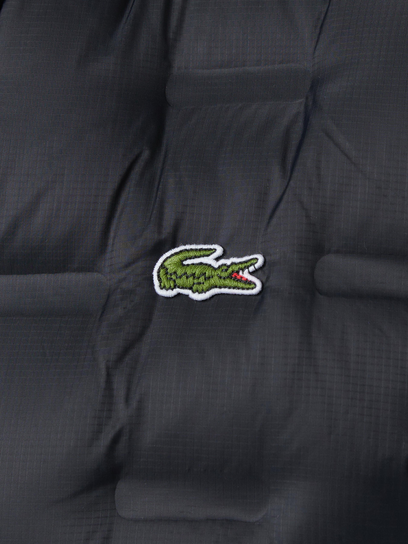 Демісезонна куртка Lacoste модель BH2502T031 Фото