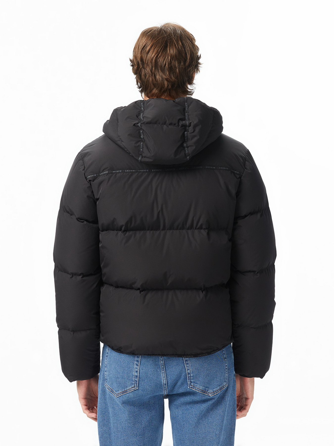 Зимова куртка Lacoste модель BH2608031 Зимова куртка Lacoste модель BH2608031 Фото