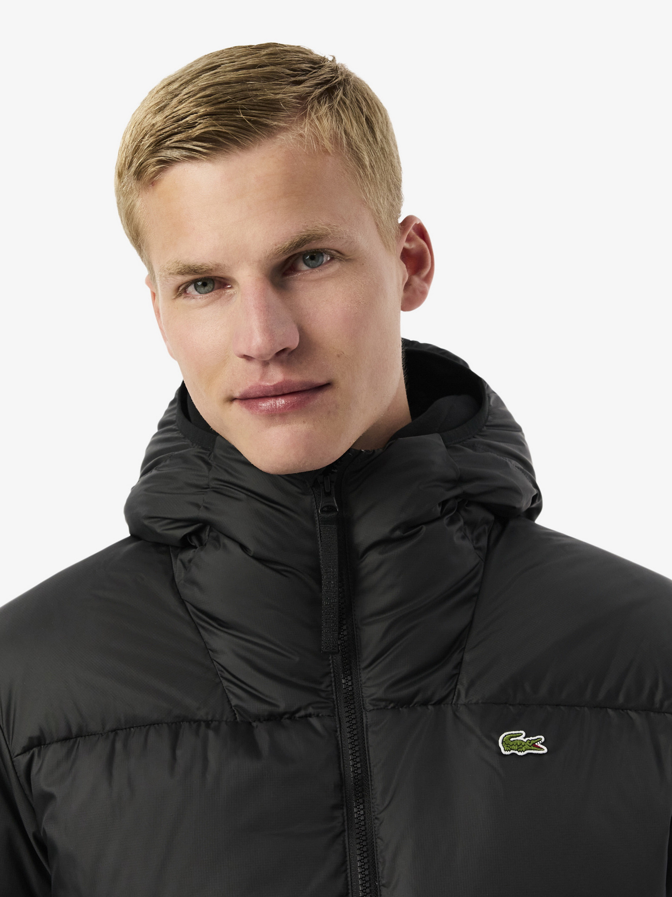 Зимняя куртка Lacoste модель BH2905031 Фото