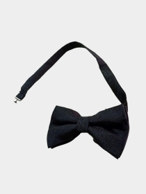 Бабочка H&M модель 6700791wer_Черный Фото