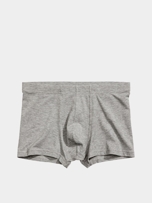 Трусы H&M модель 7644884ral_Серый Фото