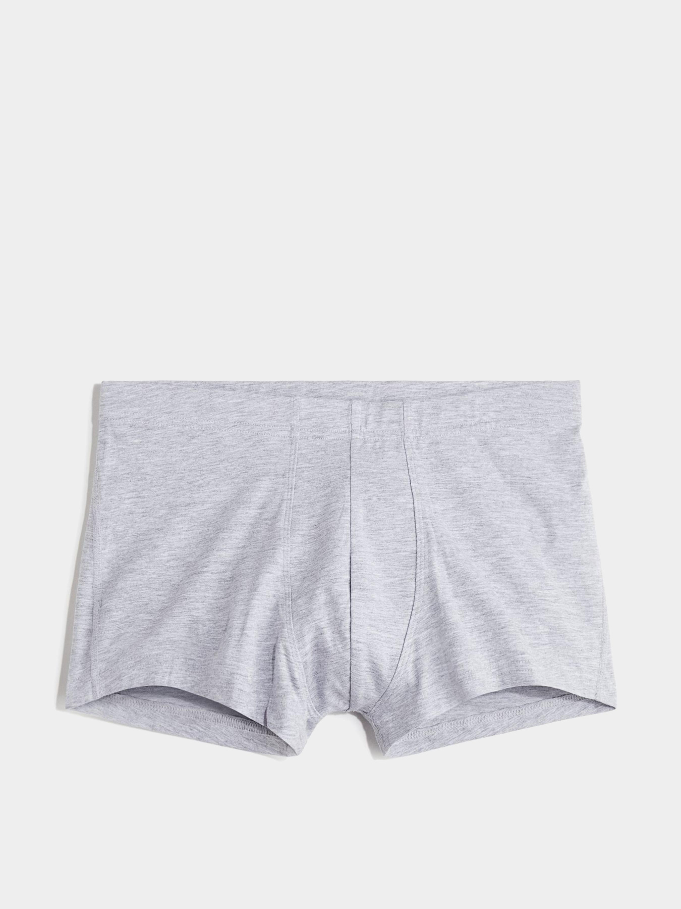 Трусы H&M модель 11298098wer_Светло-серый Фото