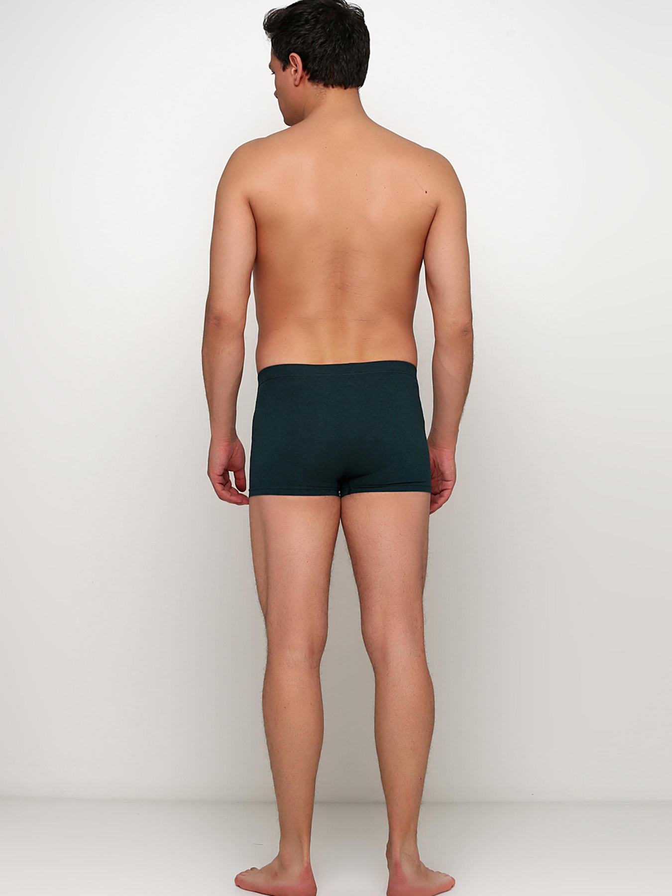 Трусы H&M модель 5643106wer_Изумрудный Фото