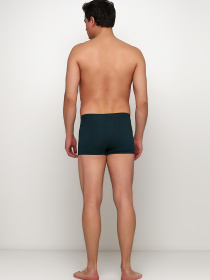 Трусы H&M модель 5643106wer_Изумрудный Фото