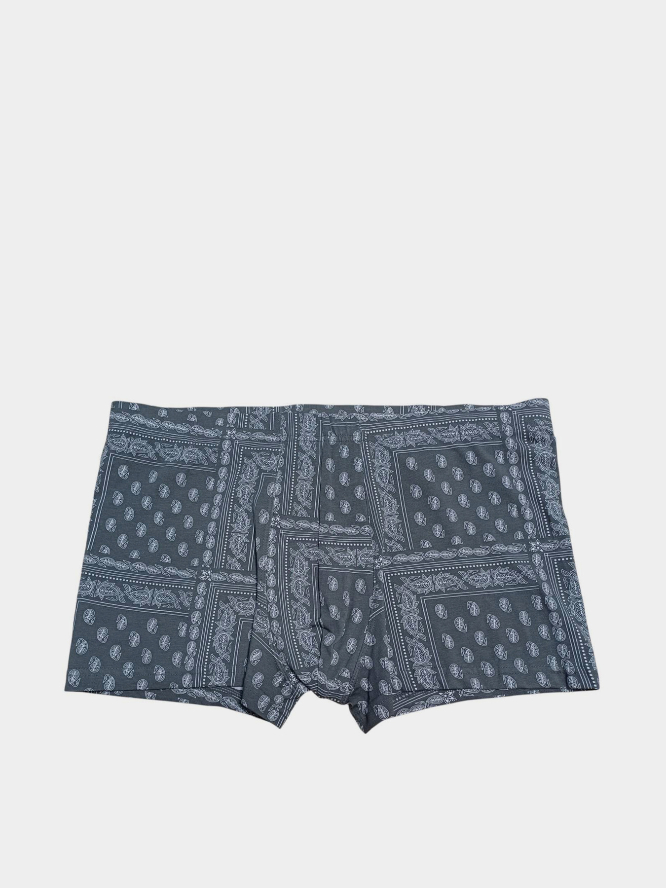 Трусы H&M модель 5643106wer_Серый Фото