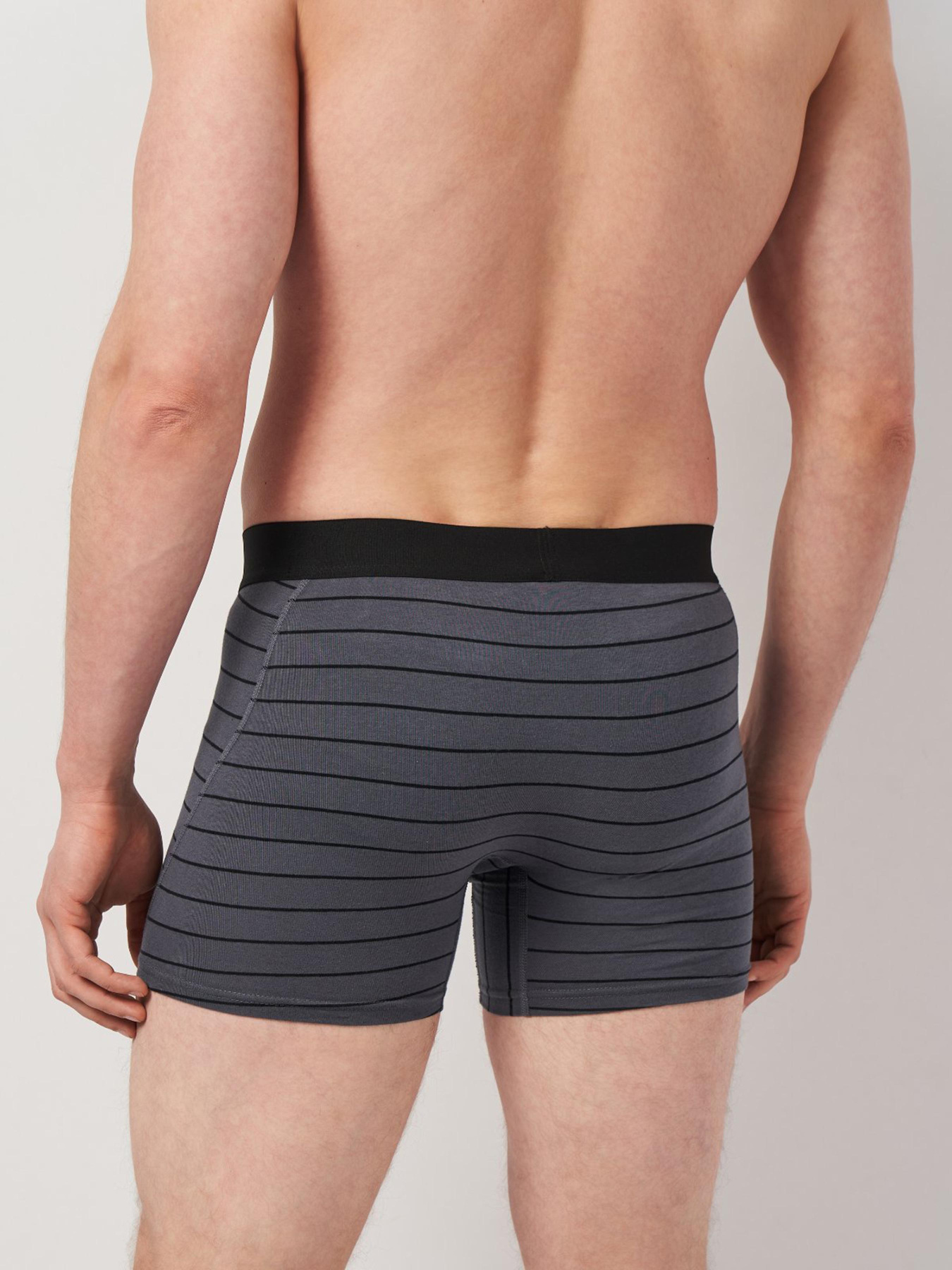 Трусы H&M модель 1070252wer_Серый в полоску Фото