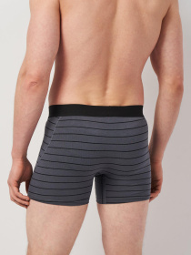 Трусы H&M модель 1070252wer_Серый в полоску Фото