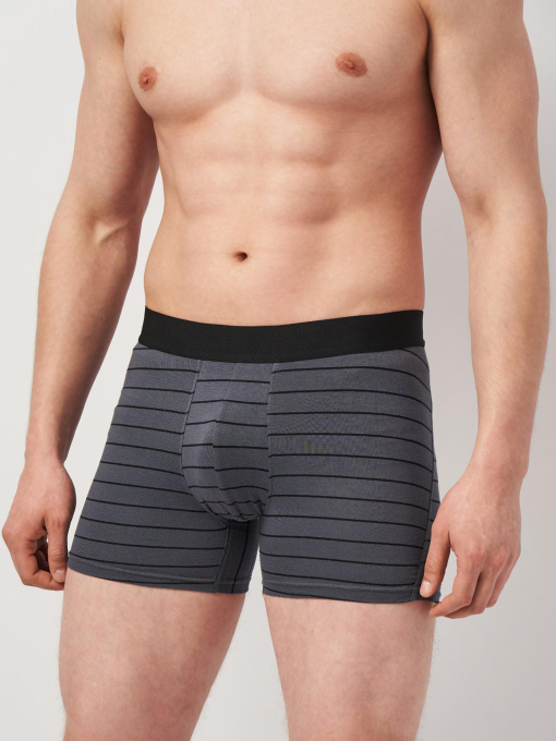 Трусы H&M модель 1070252wer_Серый в полоску Фото