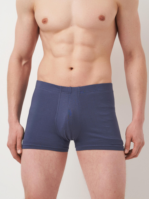 Трусы H&M модель 5643096ral_Серо-синий Фото