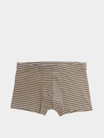 Трусы H&M модель 5643107wer_бежевый в полоску Трусы H&M модель 5643107wer_бежевый в полоску Фото