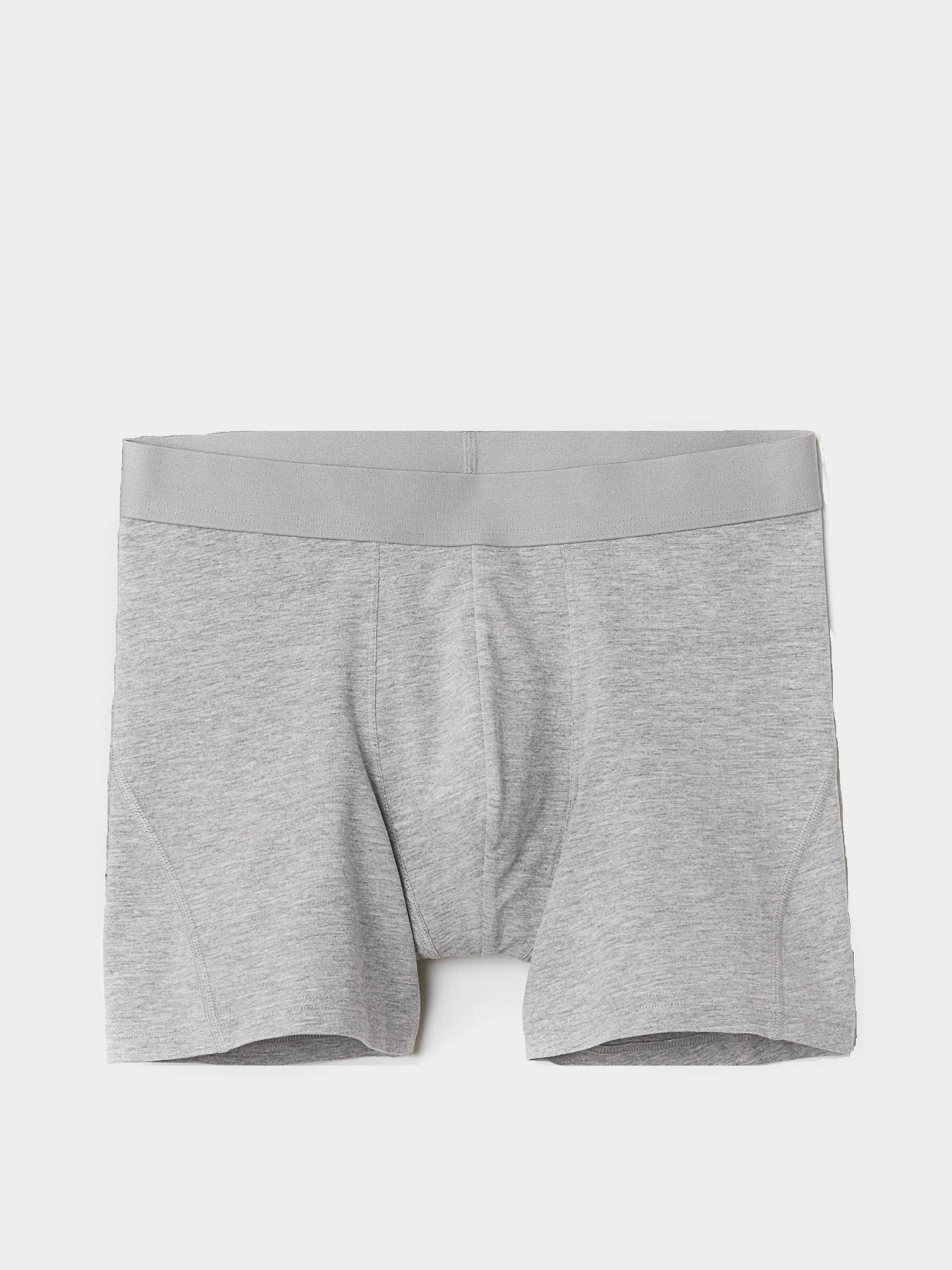 Трусы H&M модель 10702717wer_Светло-серый Фото