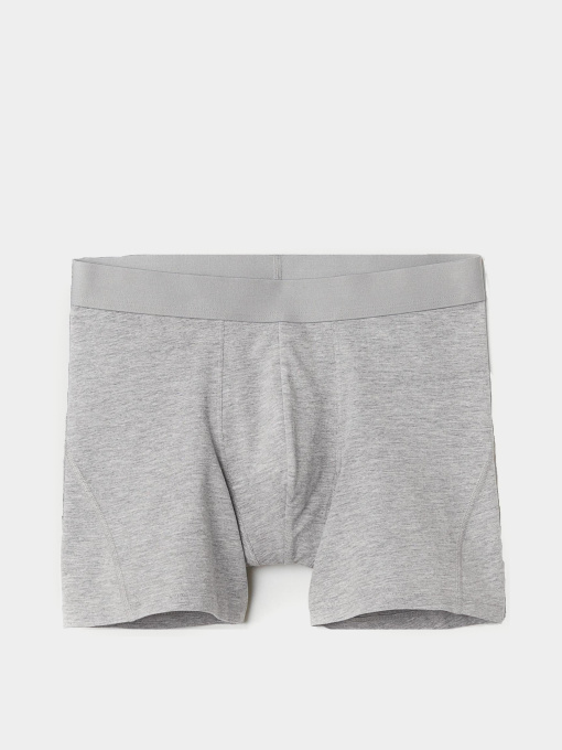 Труси H&M модель 10702717wer_Светло-серый Фото