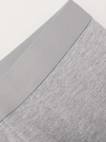 Трусы H&M модель 10702717wer_Светло-серый Фото