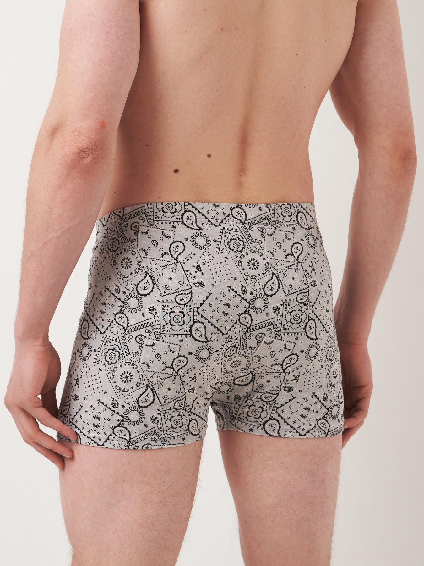 Трусы H&M модель 5643107wer_Светло-серый Фото