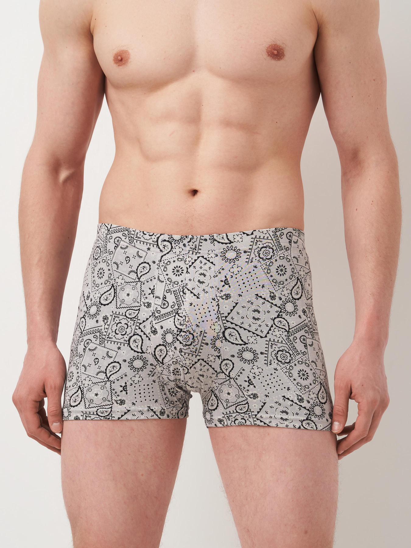 Трусы H&M модель 5643107wer_Светло-серый Фото