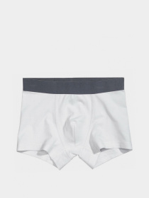 Трусы H&M модель 7137745kwer_Бело-серый Фото