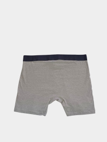 Трусы H&M модель 10865627wer_Серый Трусы H&M модель 10865627wer_Серый Фото