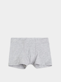 Труси H&M модель 10102146kwer_Светло-серый Фото