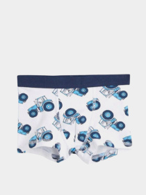 Трусы модель 76712660kwer_Белый Фото