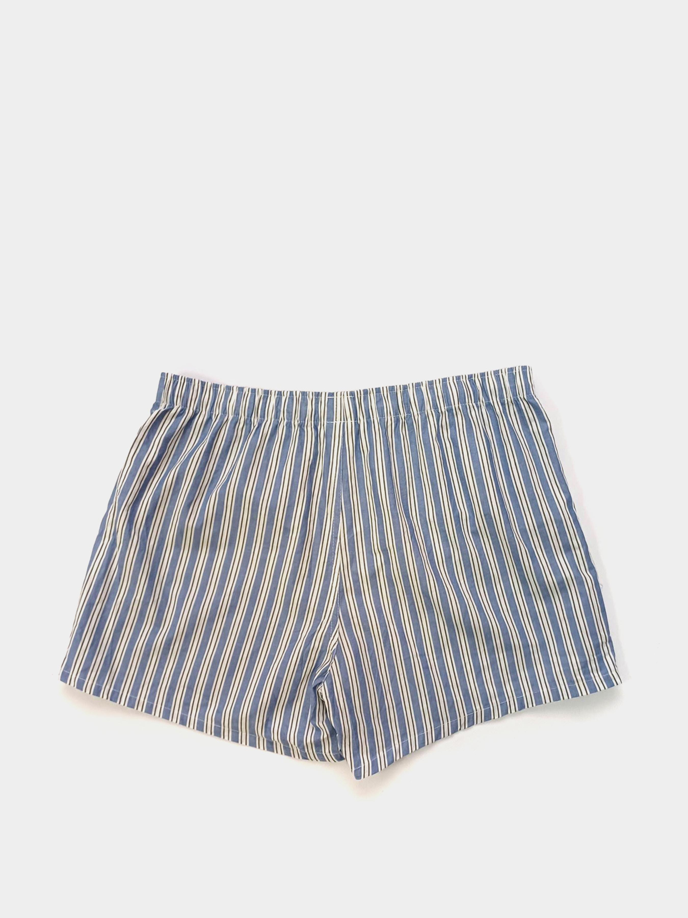 Трусы H&M модель 6979207wer_Сине-белый Трусы H&M модель 6979207wer_Сине-белый Фото