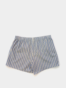 Трусы H&M модель 6979207wer_Сине-белый Трусы H&M модель 6979207wer_Сине-белый Фото