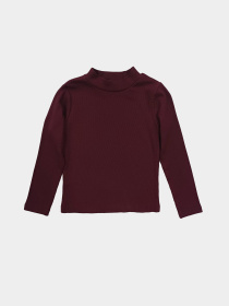 Водолазка H&M модель 3957302kwer_Бордовый Фото