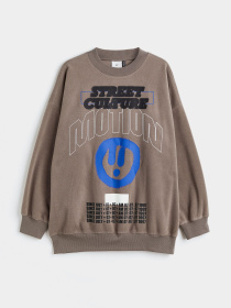 Свитшот H&M модель 1124543arl_Темно-бежевый Фото