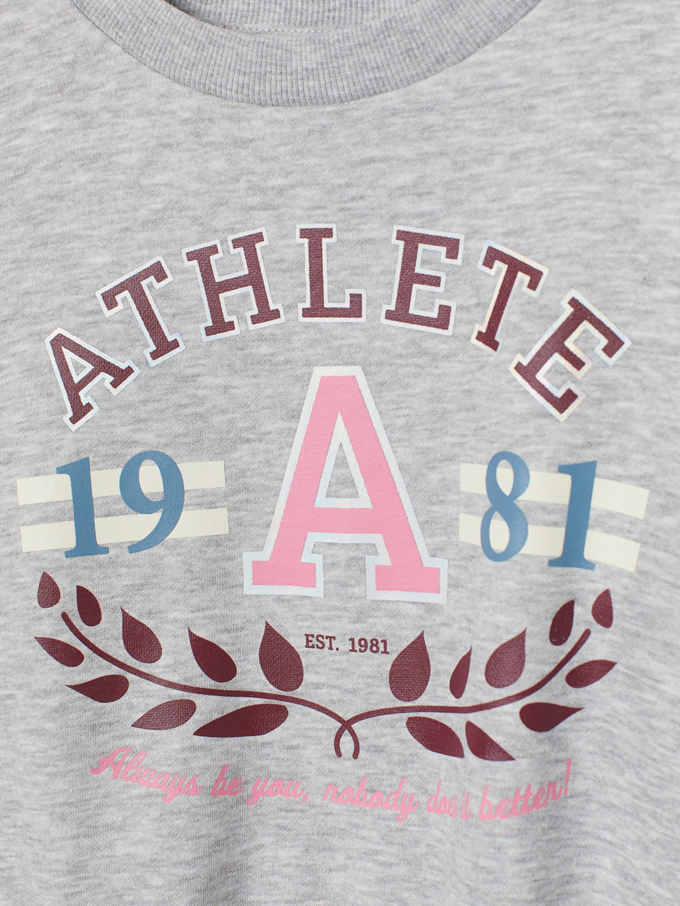 Свитшот модель 8705182dlog_Светло-серый Фото