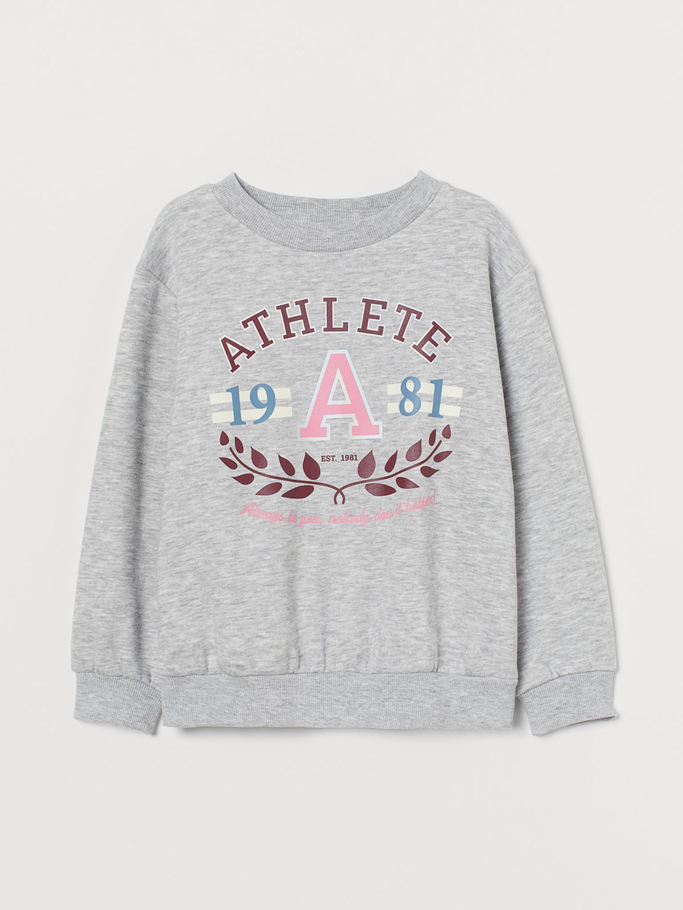 Свитшот модель 8705182dlog_Светло-серый Фото