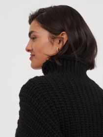 Свитер H&M модель 8732792wer_Черный Фото