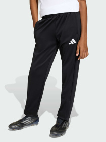 Повседневные штаны Adidas модель JZ6550 Фото