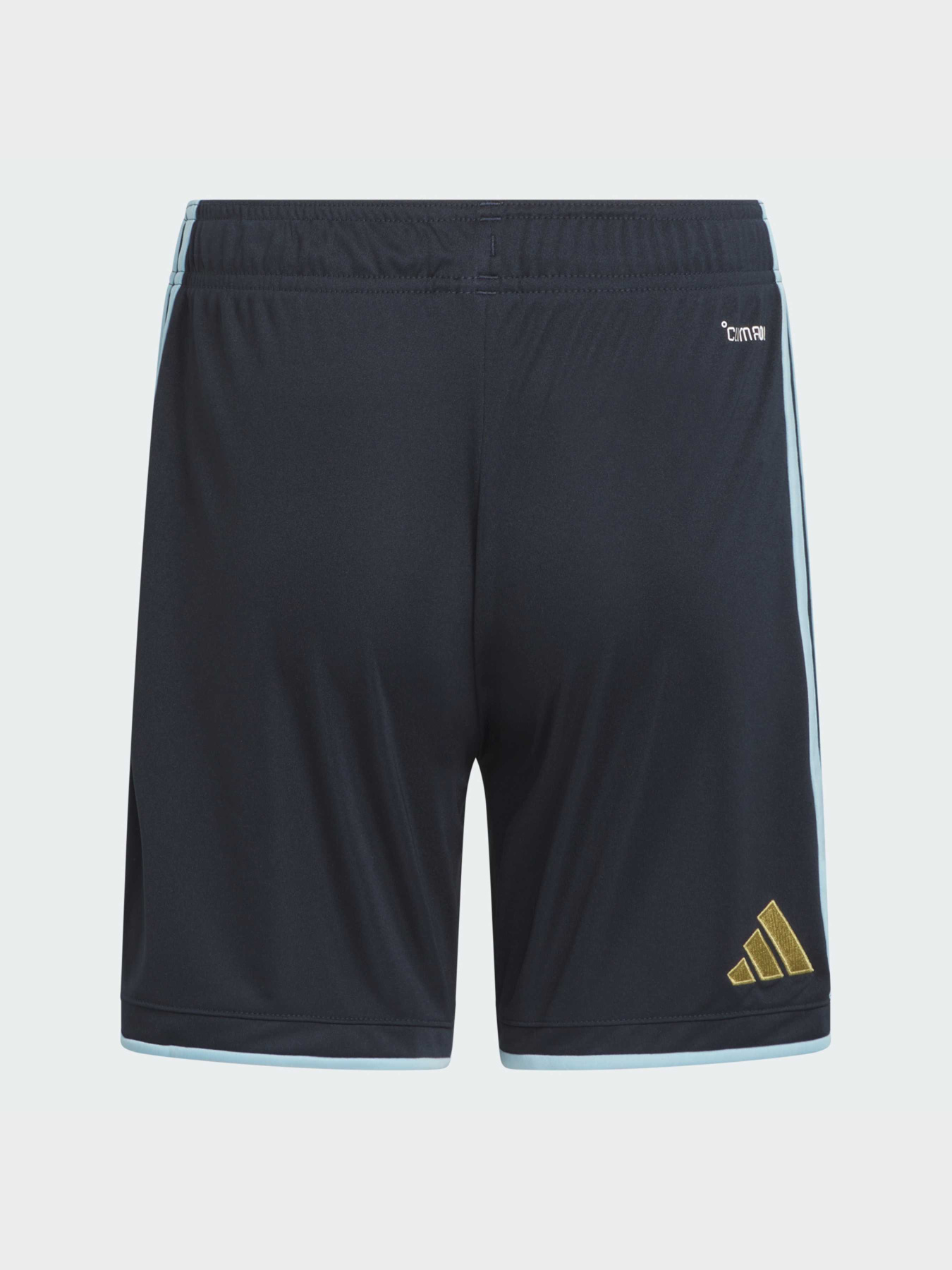 Шорты спортивные Adidas модель KA8113 Фото