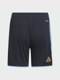 Шорты спортивные Adidas модель KA8113 Фото