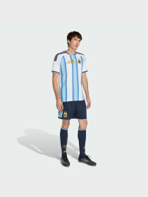 Шорты спортивные Adidas модель JM1325 Фото