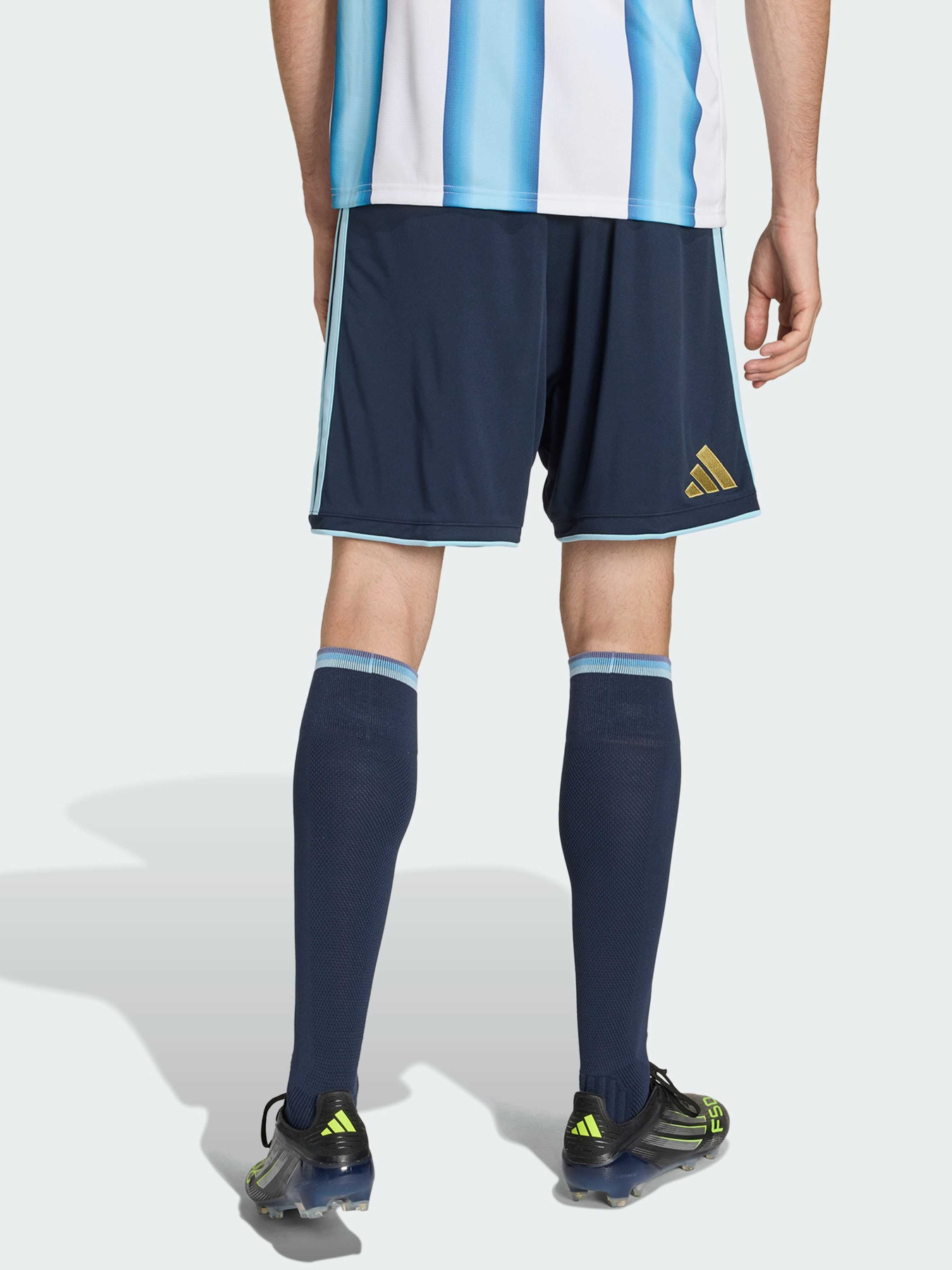 Шорты спортивные Adidas модель JM1325 Фото